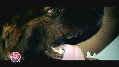 Benfatto: la storia di Ilaria