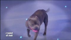 I saluti di Saki - VII^ puntata