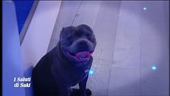 I saluti di Saki - VI^ puntata