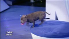 I saluti di Saki - IV^ puntata