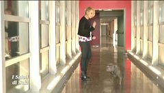 I saluti di Saki - II^ puntata