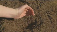 Puntata del 12 marzo