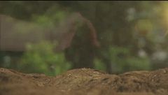 Puntata del 26 settembre