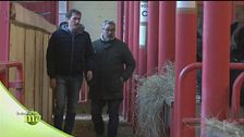 Il progetto di due amici