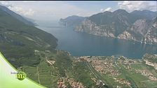 Fior fior di zafferano