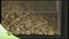 Il caffè e la sua provenienza