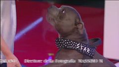 Le effusioni di Saki