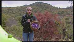 Sapori d'Abruzzo