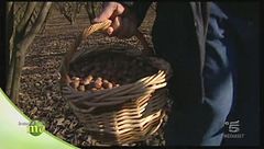 Il torrone alla nocciola