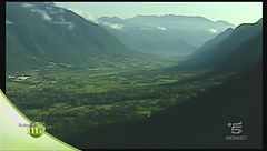 Le mele del Trentino