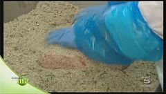 La stagionatura del lardo