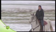 Addestramento di cavalli