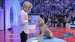 Ether e Saki oggi...