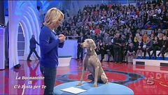 Sembra che Saki...