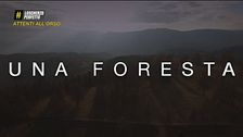 Attenti all'orso - Gae Zerbo
