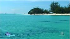 Il sorridente fascino della Malesia