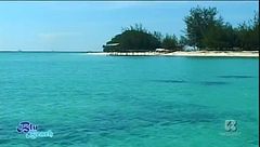 Il sorridente fascino della Malesia