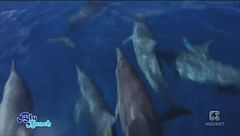 Nuova Caledonia: Grand Terre, Lifou e Mu