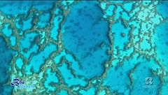 Oceano Pacifico, Nuova Caledonia: l'isola dei Pini