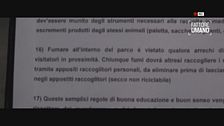 Il guardiano del parco