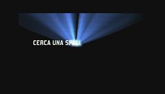 Una spalla su cui...