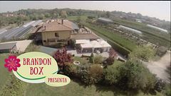 Il meglio di... 26 giugno