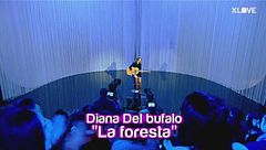 DIANA: La foresta