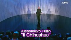 FULLIN: Il Chiuaua