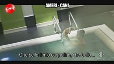 BELLO: Ameri-cani