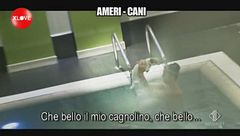 BELLO: Ameri-cani