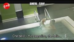 BELLO: Ameri-cani
