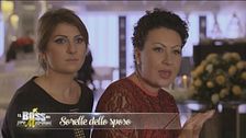 Dicono di loro