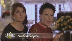 Dicono di loro