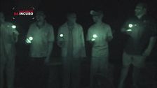 In fuga da una furia di 5 tonnellate