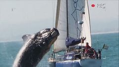 Vacanze da incubo - 6 agosto, parte I