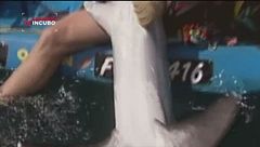 Uno straziante tiro alla fune