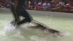 Vacanze da incubo - 23 luglio, parte II