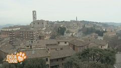 Giovedì 21 maggio