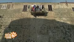 Mercoledì 20 maggio