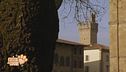 Martedì 19 maggio