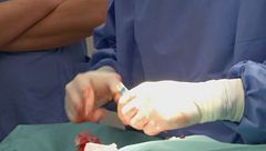 Mercoledì 14 maggio