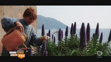 Voglio il mare in casa