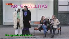 Ormoni allo sbaraglio ma...