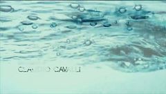 Puntata del 12 dicembre