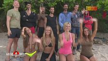 Collegamento con l'isola dei famosi