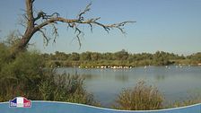 La Camargue