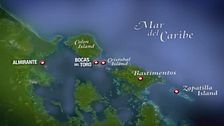Bocas del toro