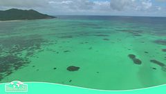 Le Seychelles... un'autentica meta da sogno