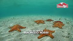 Terza puntata