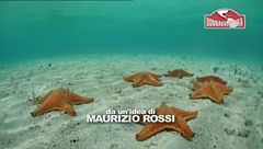 Seconda puntata